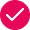 Checked Icon